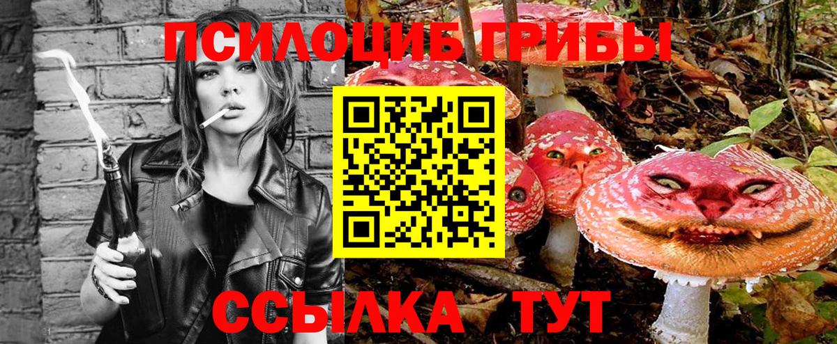 Добрянка  Галлюциногенные грибы прущие грибы  Псилоцибиновые грибы прущие грибы  Вход с VPN 